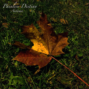 专干老熟女300部-
