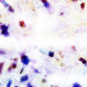 专干老熟女300部-
