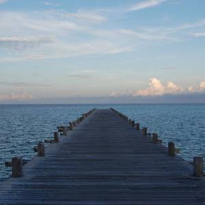 专干老熟女300部-
